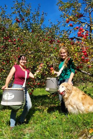 Apple Apprenticeship Deposit