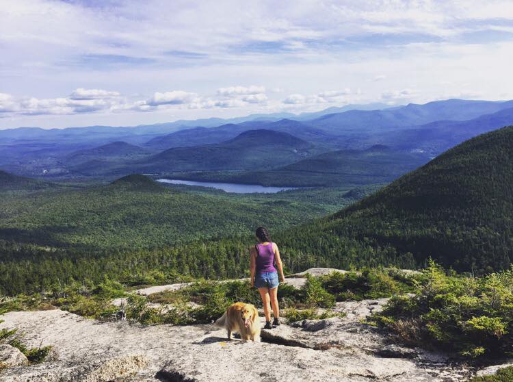 gracie nancy zola apples